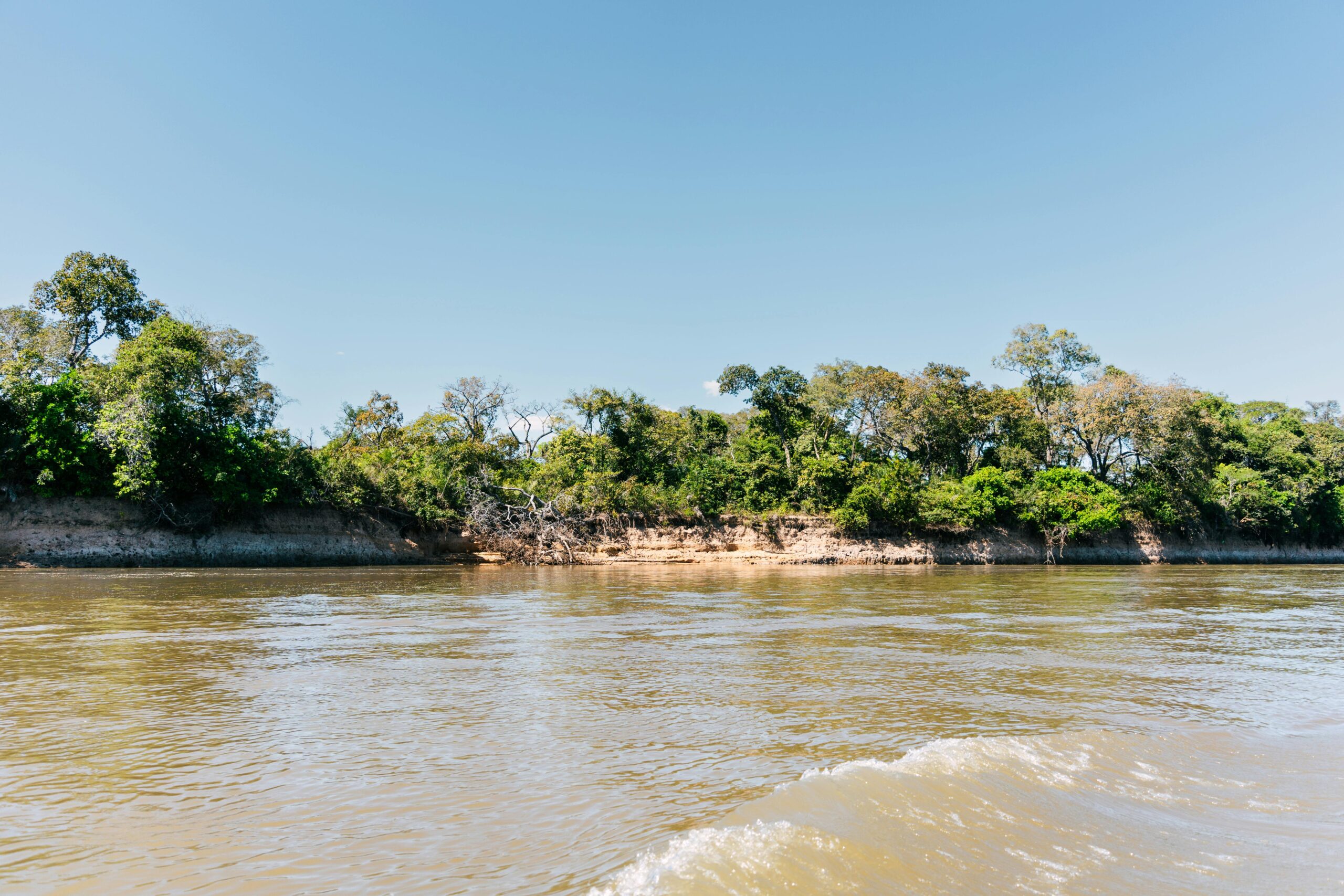 Descubre el Parque Nacional Río Pilcomayo: Un Tesoro Natural en Formosa